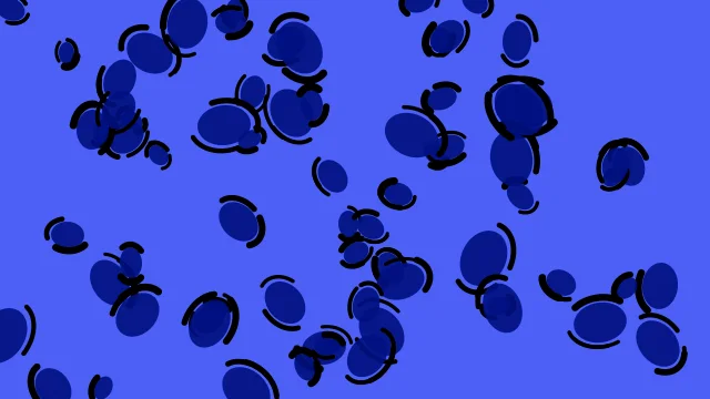 Vivid Royal leopard print background — free HD vivid royal color wallpaper 1920x1080