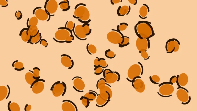 Vivid Tangerine leopard desktop wallpaper — free 4K vivid tangerine wallpaper 3840x2160