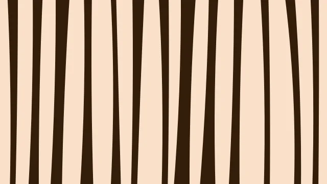 Vivid Tangerine zebra desktop wallpaper — free 4K vivid tangerine wallpaper 3840x2160