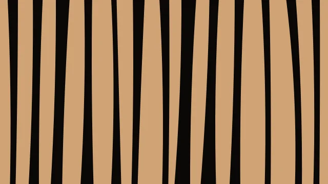 Walnut zebra print background — free HD walnut color wallpaper 1920x1080