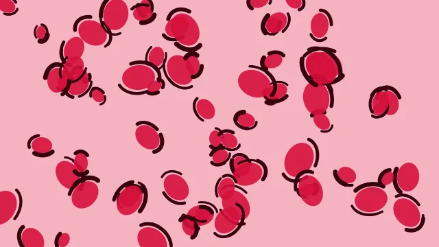 Watermelon leopard desktop wallpaper — free 4K watermelon wallpaper 3840x2160