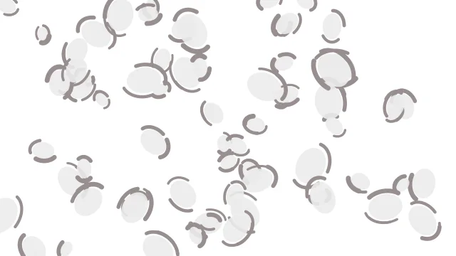 White leopard desktop wallpaper — free 4K white wallpaper 3840x2160