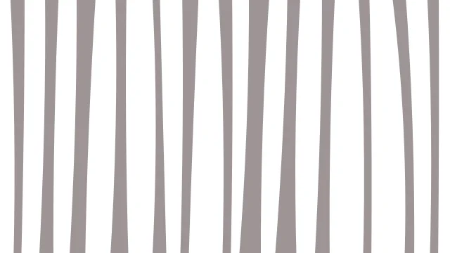 White zebra desktop wallpaper — free 4K white wallpaper 3840x2160