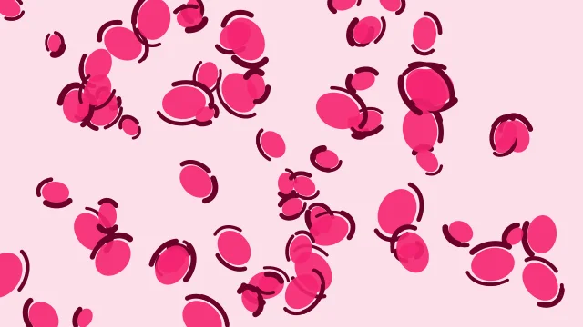 Wild Strawberry leopard desktop wallpaper — free 4K wild strawberry wallpaper 3840x2160