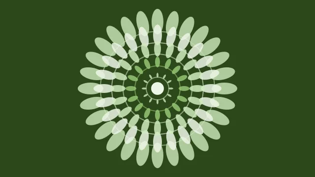 Willow Green mandala background — free HD willow green color wallpaper 1920x1080