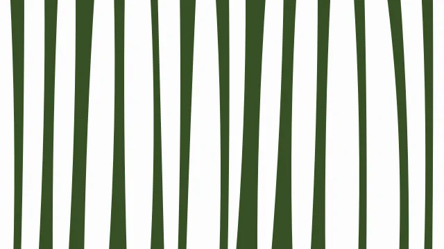 Willow Green zebra print background — free HD willow green color wallpaper 1920x1080