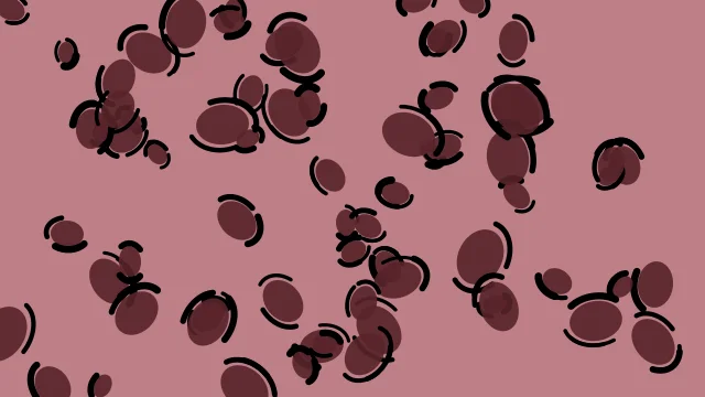Wine Plum leopard print background — free HD wine plum color wallpaper 1920x1080