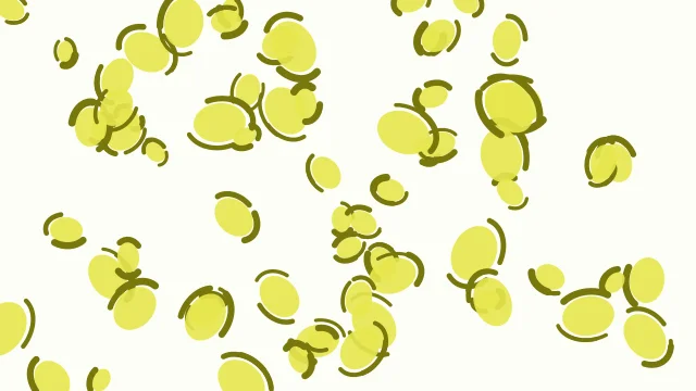 Yellow 300 leopard desktop wallpaper — free 4K yellow 300 wallpaper 3840x2160
