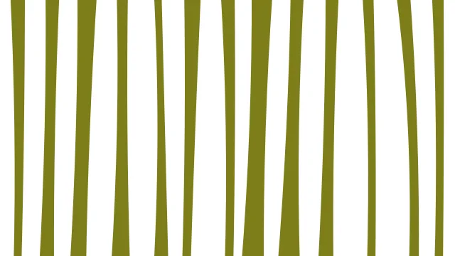 Yellow 300 zebra desktop wallpaper — free 4K yellow 300 wallpaper 3840x2160