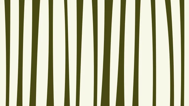 Yellow 400 zebra desktop wallpaper — free 4K yellow 400 wallpaper 3840x2160