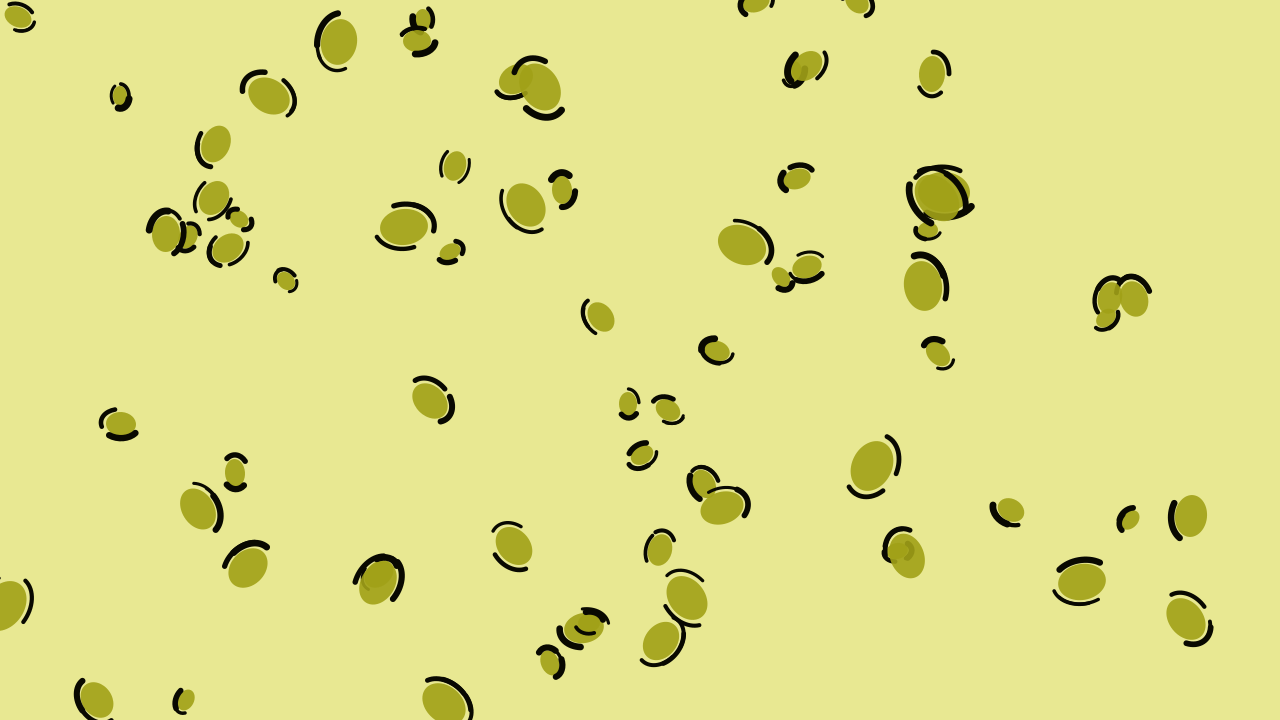 Yellow 500 leopard print background — free HD yellow 500 color wallpaper 1920x1080