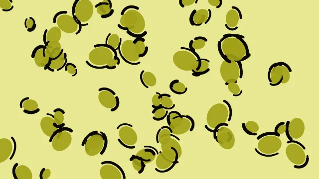 Yellow 500 leopard desktop wallpaper — free 4K yellow 500 wallpaper 3840x2160