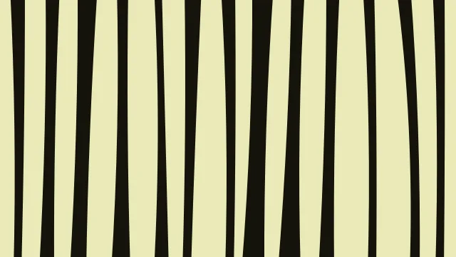 Yellow 500 zebra desktop wallpaper — free 4K yellow 500 wallpaper 3840x2160