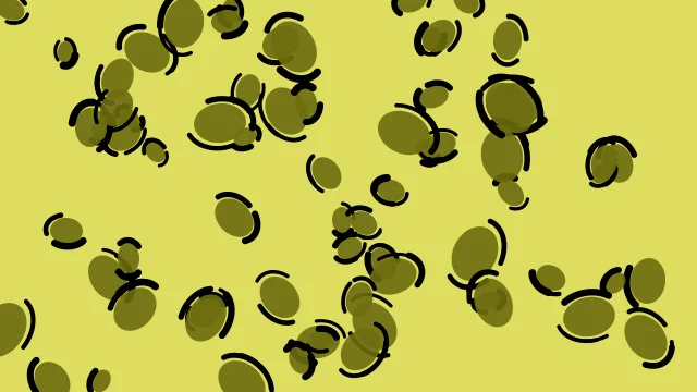 Yellow 600 leopard desktop wallpaper — free 4K yellow 600 wallpaper 3840x2160