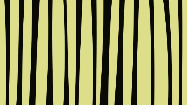 Yellow 600 zebra desktop wallpaper — free 4K yellow 600 wallpaper 3840x2160