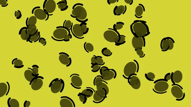 Yellow 700 leopard desktop wallpaper — free 4K yellow 700 wallpaper 3840x2160