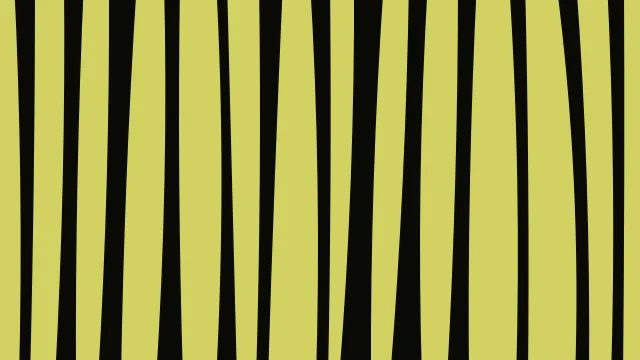 Yellow 700 zebra desktop wallpaper — free 4K yellow 700 wallpaper 3840x2160