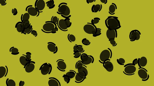 Yellow 800 leopard desktop wallpaper — free 4K yellow 800 wallpaper 3840x2160