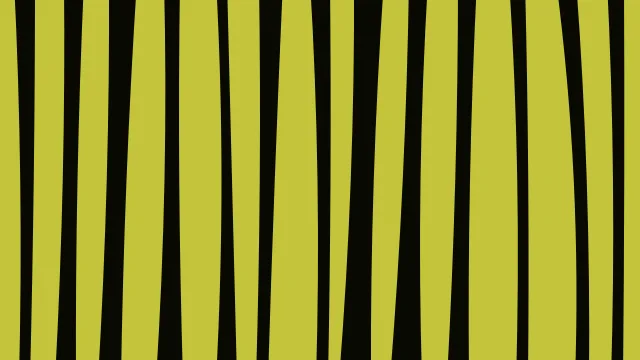 Yellow 800 zebra desktop wallpaper — free 4K yellow 800 wallpaper 3840x2160