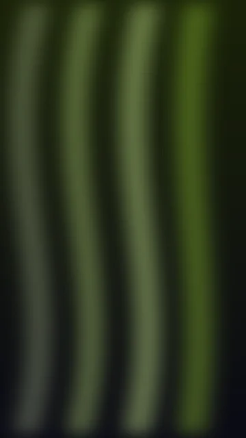 Yellow Green aurora phone wallpaper — free HD yellow green mobile wallpaper 1080x1920