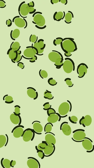 Yellow Green leopard phone wallpaper — free HD yellow green mobile wallpaper 1080x1920