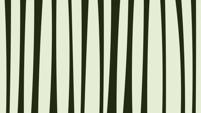 Yellow Green zebra desktop wallpaper — free 4K yellow green wallpaper 3840x2160
